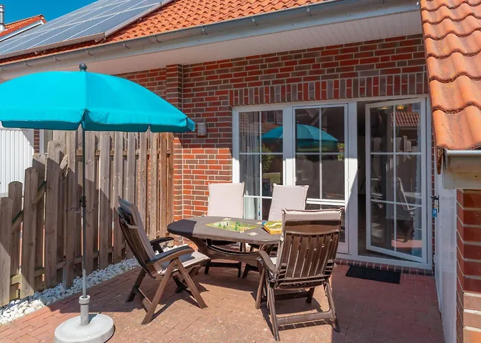 Robbenplatte 2 Burhave